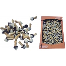 Печиво печиво ЧАРІВНІ ГРИБОЧКИ {{ text_wholesale }}